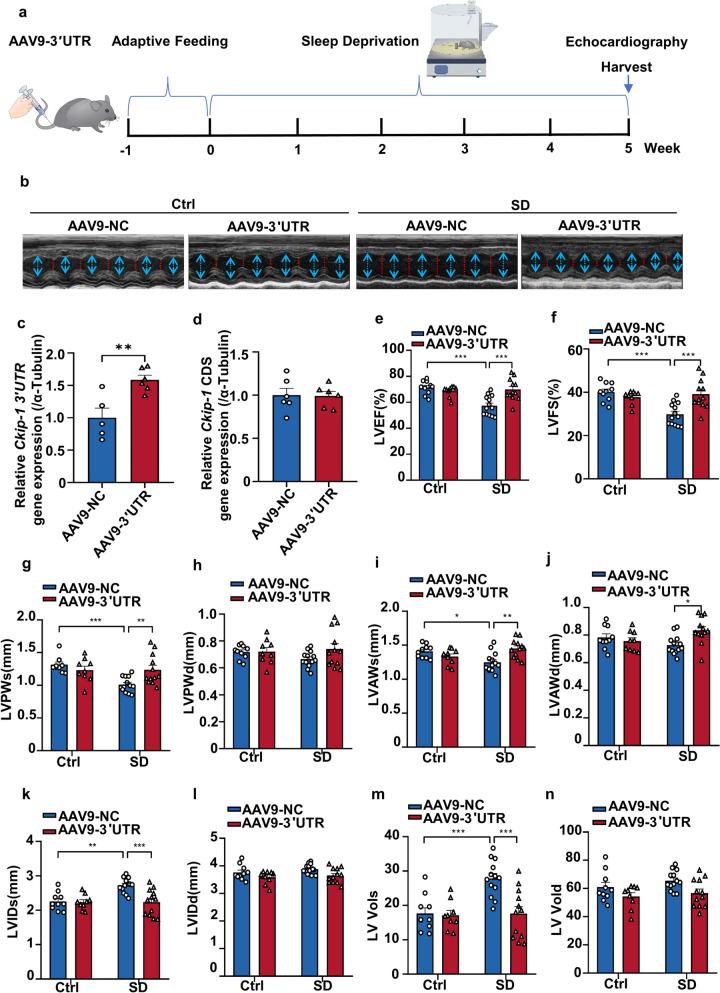 https://cdn.ncbi.nlm.nih.gov/pmc/blobs/0909/11176284/1c48d94720d3/43556_2024_186_Fig3_HTML.jpg