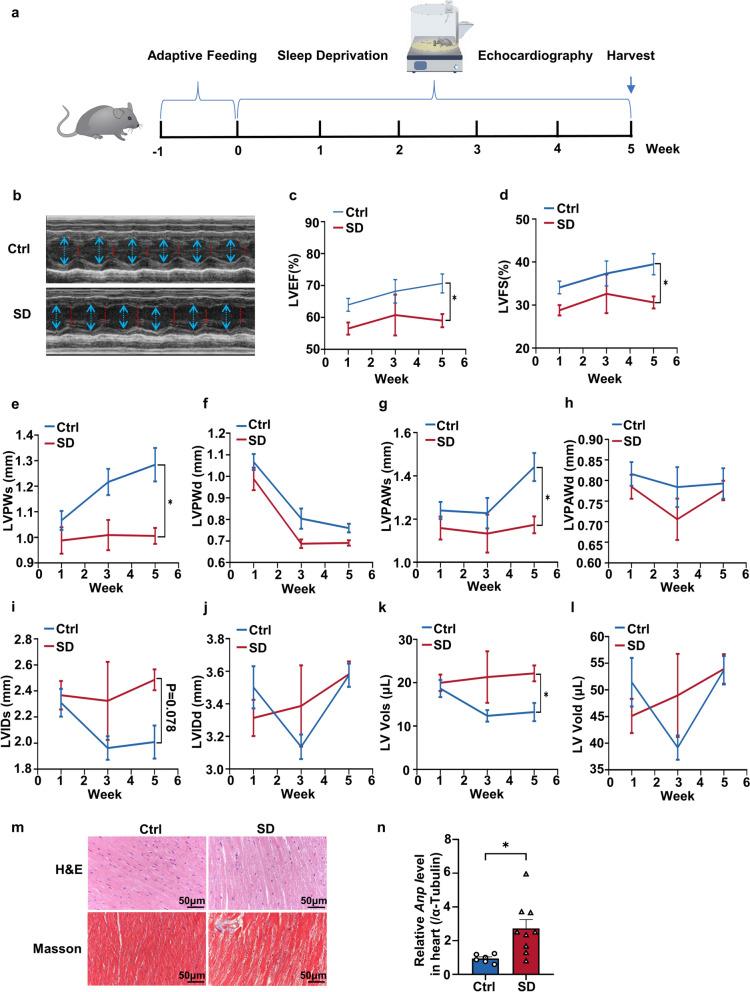 https://cdn.ncbi.nlm.nih.gov/pmc/blobs/0909/11176284/8534394adafc/43556_2024_186_Fig1_HTML.jpg