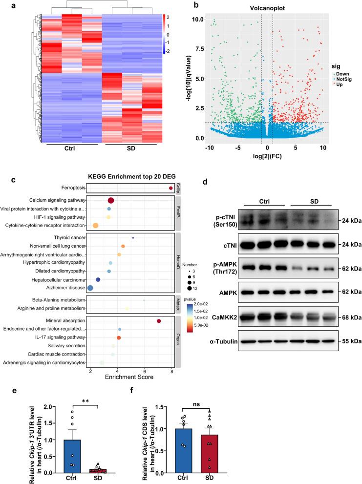 https://cdn.ncbi.nlm.nih.gov/pmc/blobs/0909/11176284/a75429815bdf/43556_2024_186_Fig2_HTML.jpg