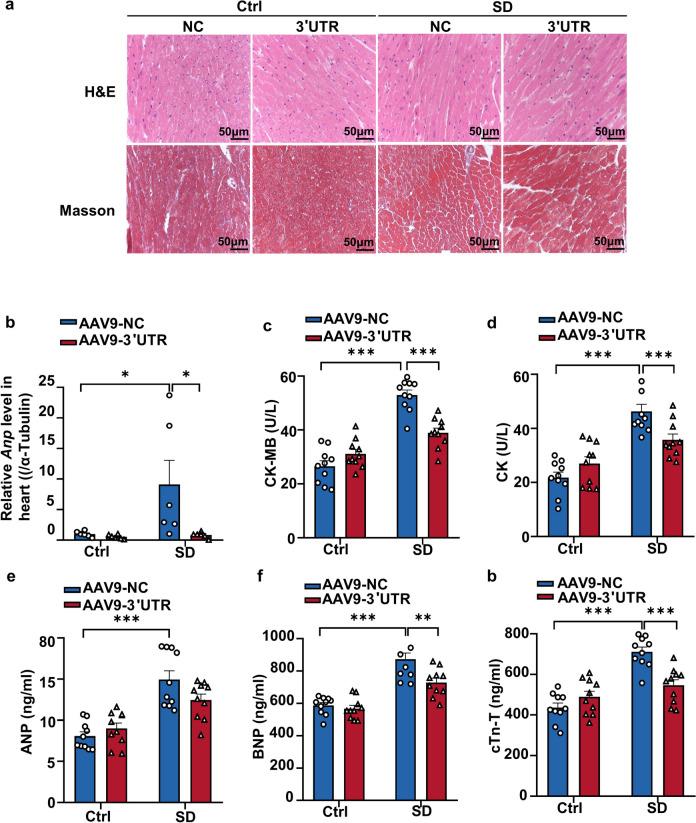 https://cdn.ncbi.nlm.nih.gov/pmc/blobs/0909/11176284/c22b47e7c3f3/43556_2024_186_Fig4_HTML.jpg