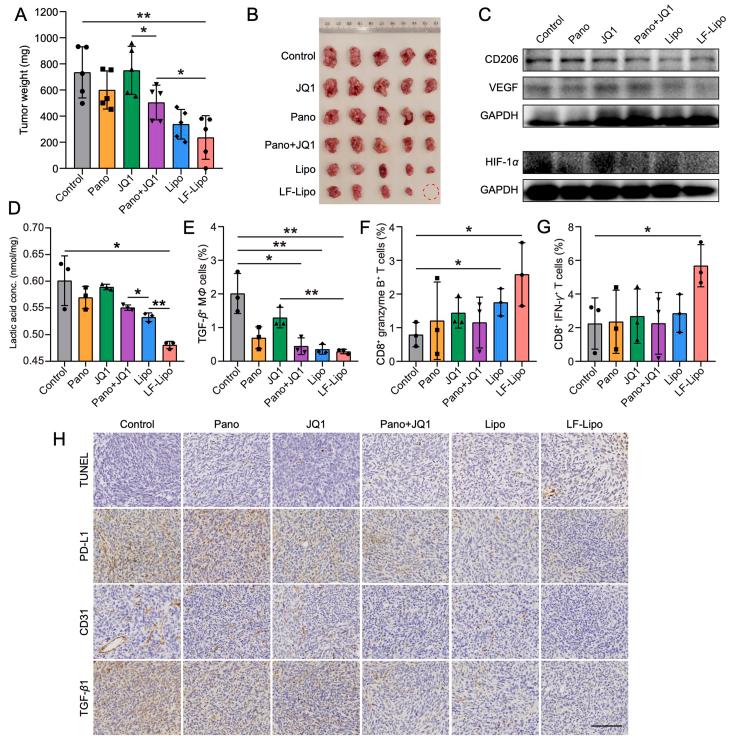 https://cdn.ncbi.nlm.nih.gov/pmc/blobs/090d/9279642/0587435d1119/gr11.jpg