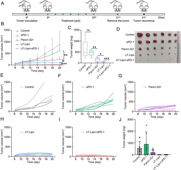 https://cdn.ncbi.nlm.nih.gov/pmc/blobs/090d/9279642/329d24c826da/gr12.jpg