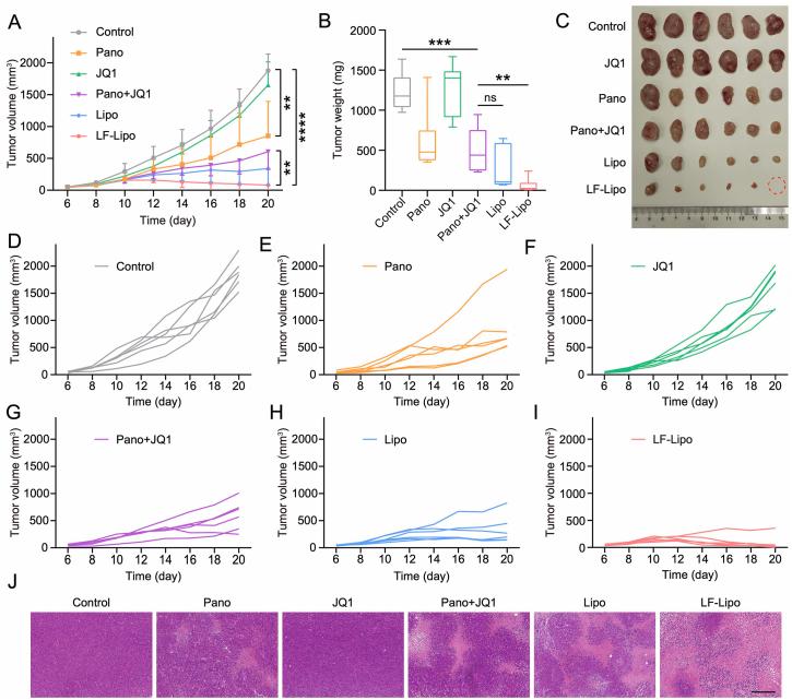 https://cdn.ncbi.nlm.nih.gov/pmc/blobs/090d/9279642/a75eb3755b62/gr9.jpg