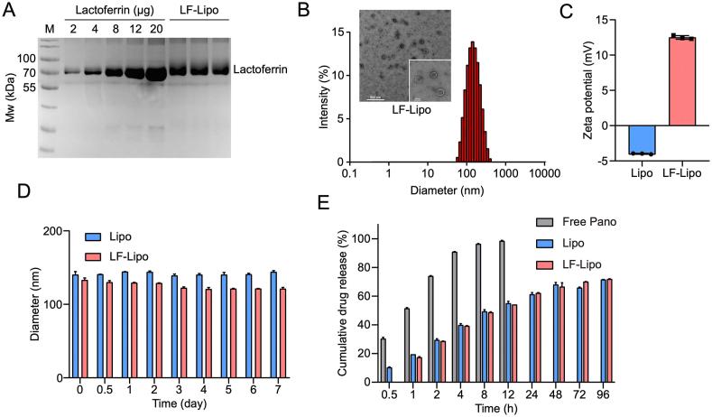 https://cdn.ncbi.nlm.nih.gov/pmc/blobs/090d/9279642/b11a0e4927d6/gr3.jpg