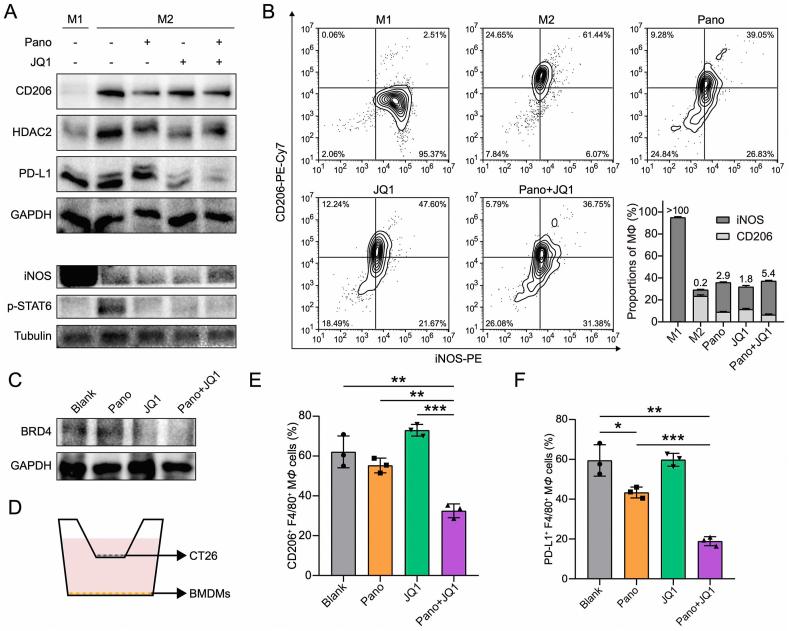 https://cdn.ncbi.nlm.nih.gov/pmc/blobs/090d/9279642/c41b157a0c0f/gr2.jpg