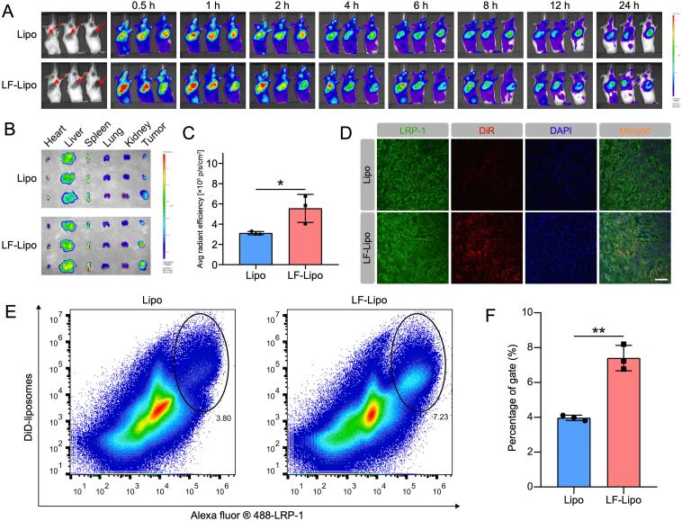 https://cdn.ncbi.nlm.nih.gov/pmc/blobs/090d/9279642/e2f719c3f1cb/gr8.jpg