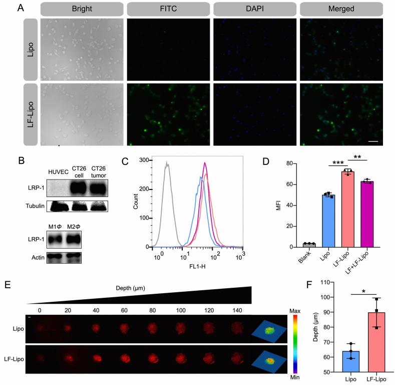 https://cdn.ncbi.nlm.nih.gov/pmc/blobs/090d/9279642/f03f84c7ac7a/gr4.jpg