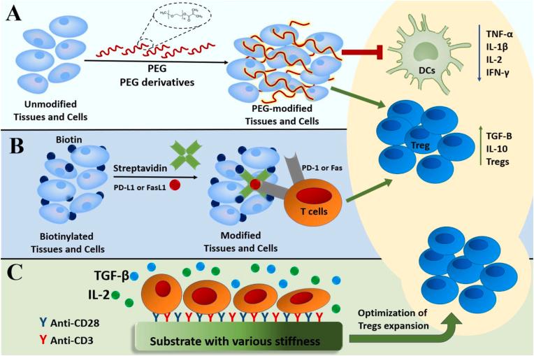 https://cdn.ncbi.nlm.nih.gov/pmc/blobs/0912/11061617/1886c6a9bf5e/gr8.jpg