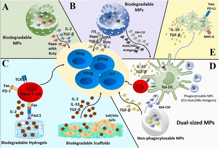 https://cdn.ncbi.nlm.nih.gov/pmc/blobs/0912/11061617/b290a92549c1/gr3.jpg