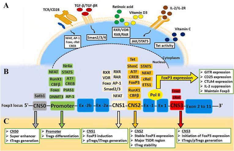 https://cdn.ncbi.nlm.nih.gov/pmc/blobs/0912/11061617/c42a2d8c1038/gr2.jpg