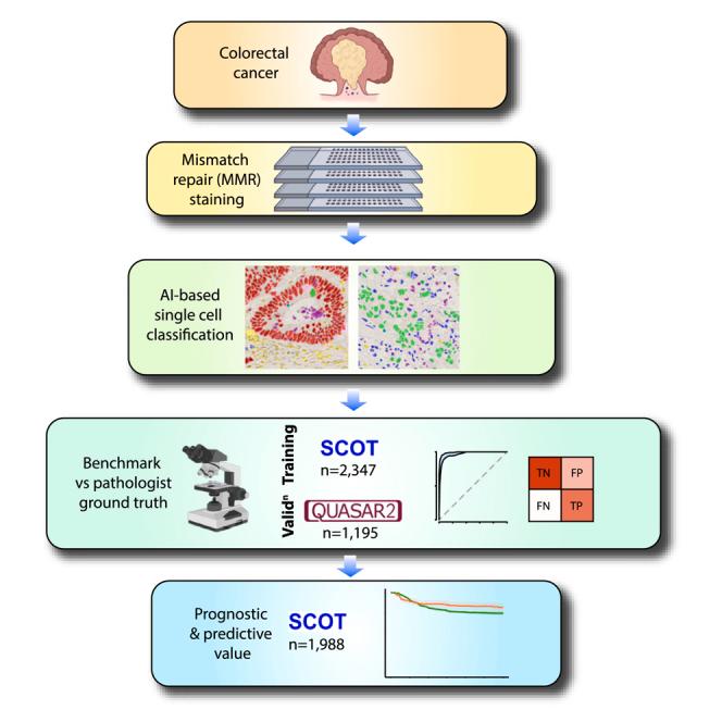 https://cdn.ncbi.nlm.nih.gov/pmc/blobs/0912/11525017/b787981bffc0/fx1.jpg