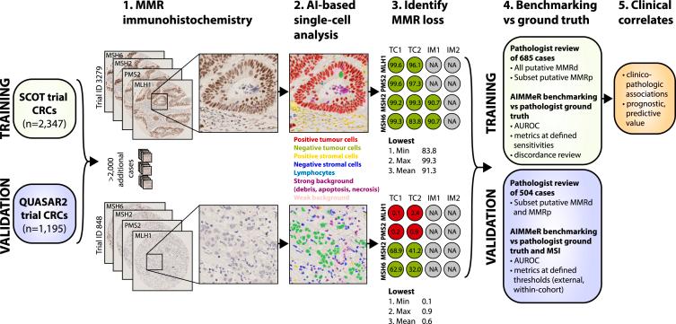 https://cdn.ncbi.nlm.nih.gov/pmc/blobs/0912/11525017/eb3303860b61/gr2.jpg
