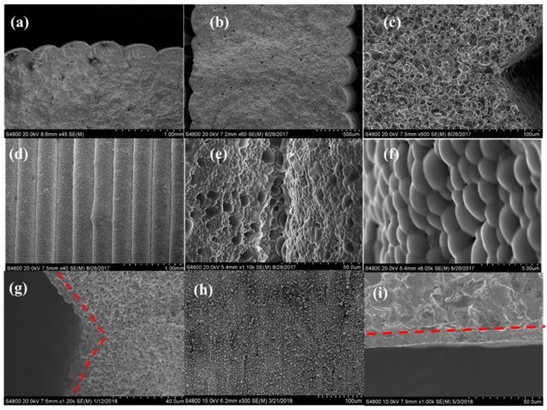 https://cdn.ncbi.nlm.nih.gov/pmc/blobs/0914/7281156/f7a3fa5013a4/membranes-10-00098-g004.jpg