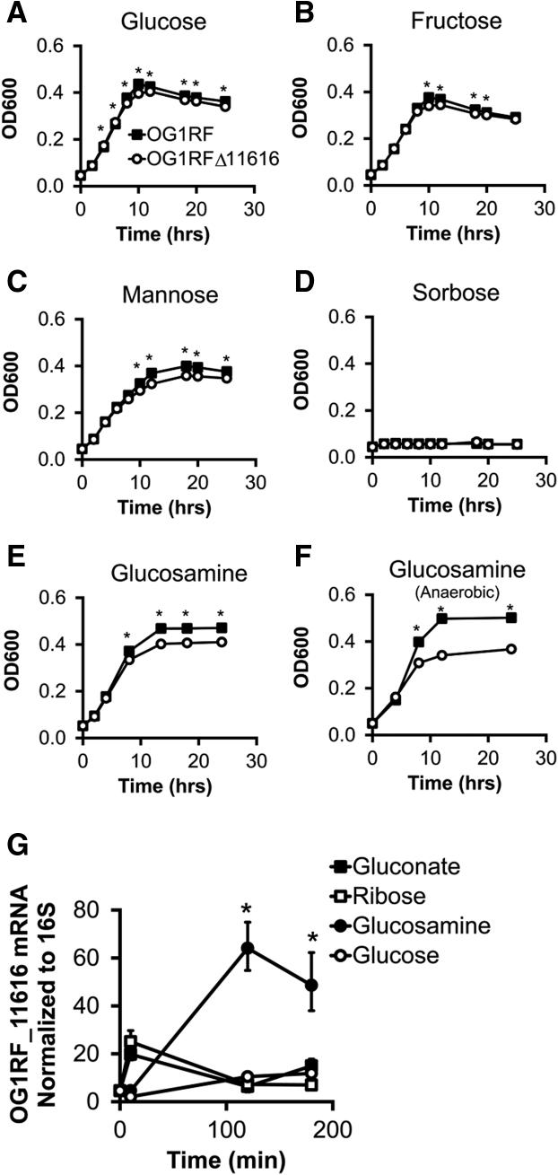 https://cdn.ncbi.nlm.nih.gov/pmc/blobs/0914/8479252/18d1bc03d7d9/gr5.jpg
