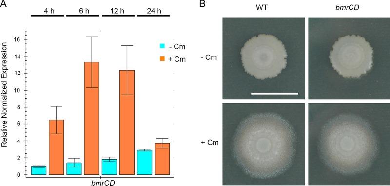 https://cdn.ncbi.nlm.nih.gov/pmc/blobs/0917/5821984/f3ff7e02f4d7/sph0011824780006.jpg