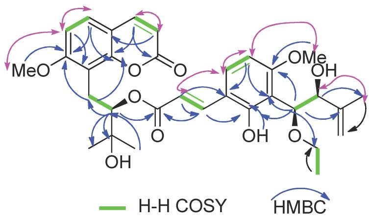 https://cdn.ncbi.nlm.nih.gov/pmc/blobs/0917/9370560/54cd92394dc8/molecules-27-04950-g002.jpg