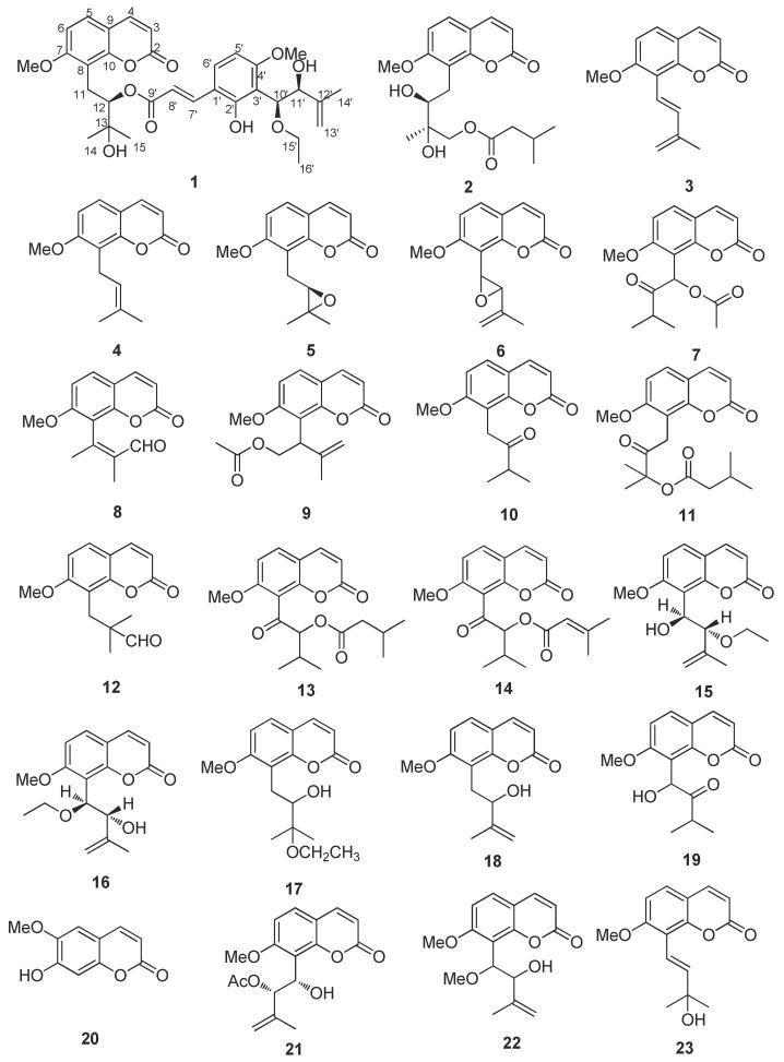 https://cdn.ncbi.nlm.nih.gov/pmc/blobs/0917/9370560/8f8c6ff3d958/molecules-27-04950-g001a.jpg
