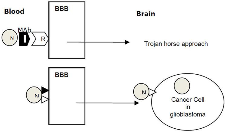 https://cdn.ncbi.nlm.nih.gov/pmc/blobs/091c/11077767/2a4b3234610b/12935_2024_3331_Fig1_HTML.jpg