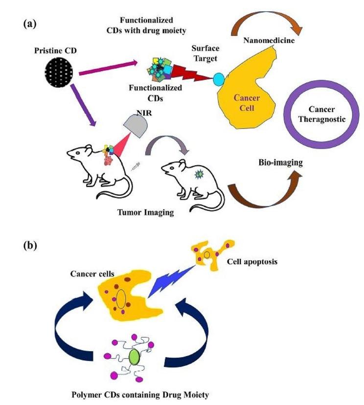 https://cdn.ncbi.nlm.nih.gov/pmc/blobs/091c/11077767/a2059909d323/12935_2024_3331_Fig3_HTML.jpg