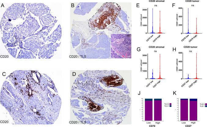 https://cdn.ncbi.nlm.nih.gov/pmc/blobs/091c/11981989/1ba6e8310b69/262_2025_4006_Fig3_HTML.jpg