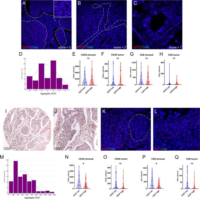https://cdn.ncbi.nlm.nih.gov/pmc/blobs/091c/11981989/2a451a0c7509/262_2025_4006_Fig2_HTML.jpg