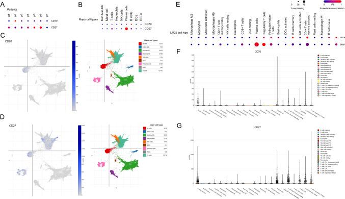 https://cdn.ncbi.nlm.nih.gov/pmc/blobs/091c/11981989/41d3b08bb2a1/262_2025_4006_Fig1_HTML.jpg