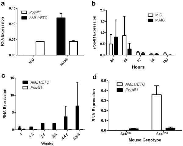 https://cdn.ncbi.nlm.nih.gov/pmc/blobs/091c/2868953/1fa36c0c50d4/nihms-183891-f0002.jpg