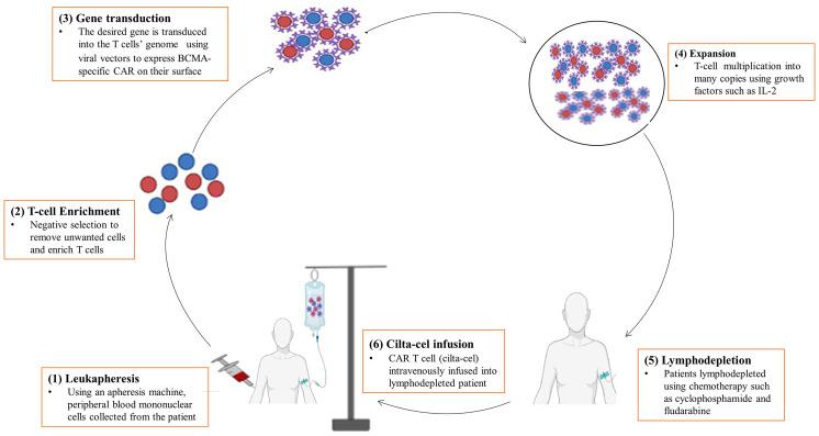 https://cdn.ncbi.nlm.nih.gov/pmc/blobs/091c/9479060/1355feb562bd/fimmu-13-991092-g002.jpg