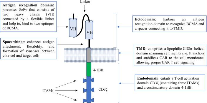 https://cdn.ncbi.nlm.nih.gov/pmc/blobs/091c/9479060/5759a7f80565/fimmu-13-991092-g001.jpg