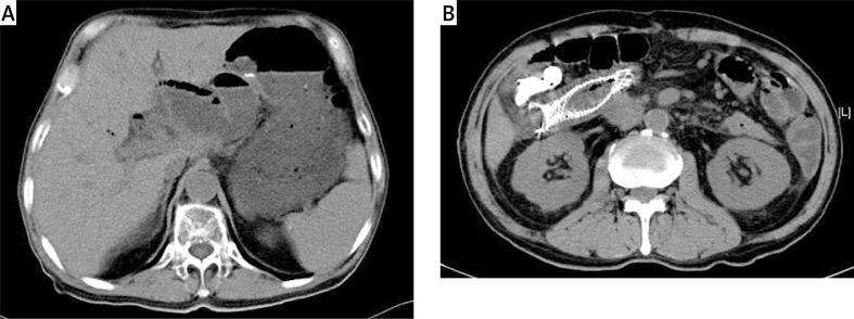 https://cdn.ncbi.nlm.nih.gov/pmc/blobs/091d/4520836/b6740f896c0b/WIITM-10-25187-g003.jpg