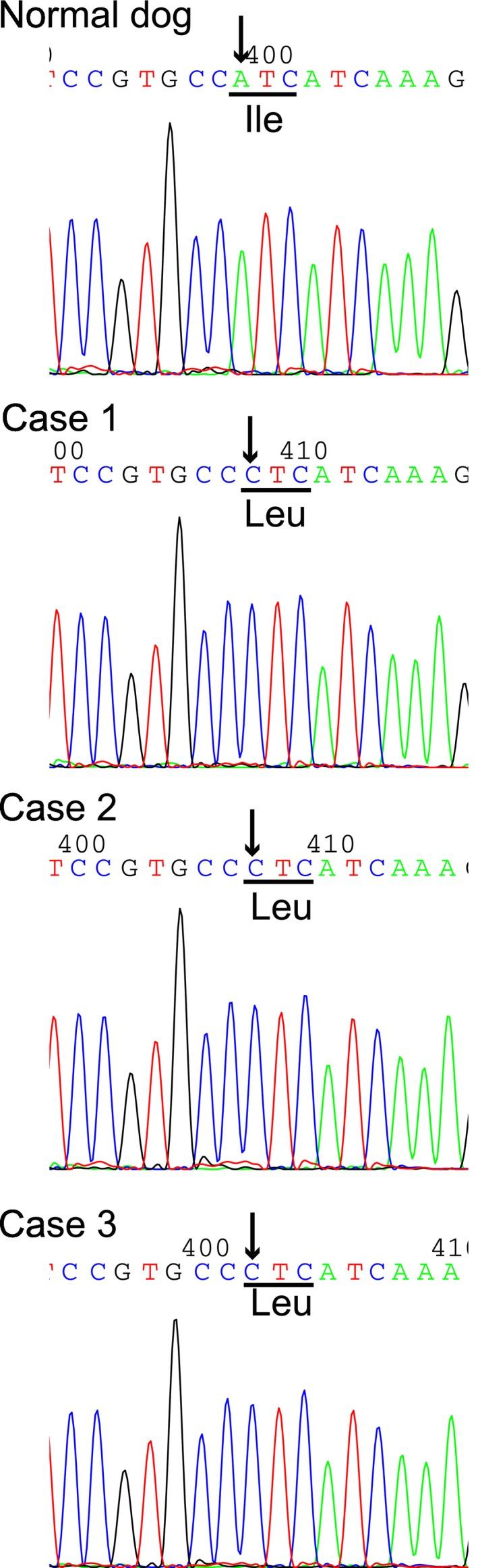 https://cdn.ncbi.nlm.nih.gov/pmc/blobs/091d/5787195/a1f58e639efc/JVIM-32-165-g003.jpg