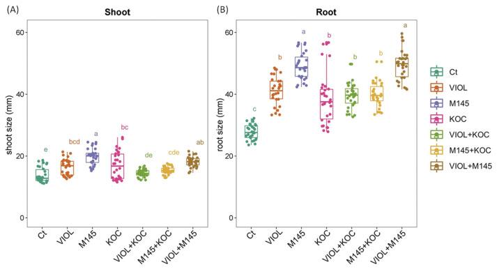 https://cdn.ncbi.nlm.nih.gov/pmc/blobs/091e/10052678/d4a1e1503047/metabolites-13-00374-g002.jpg