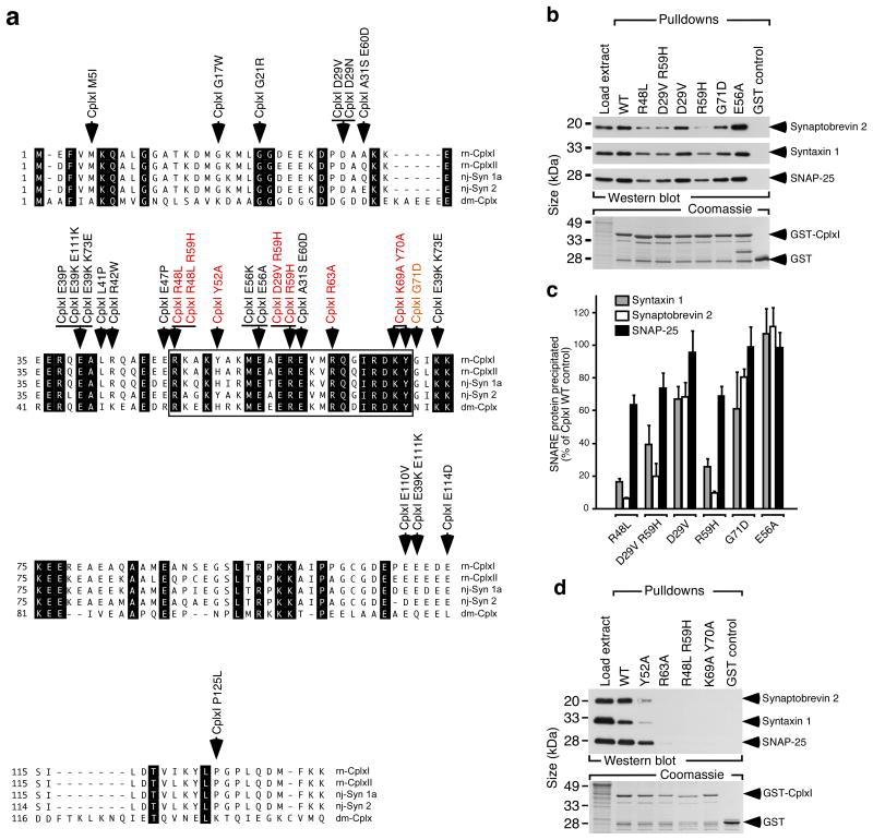 https://cdn.ncbi.nlm.nih.gov/pmc/blobs/091e/4894543/ebbae738442e/nihms568657f3.jpg