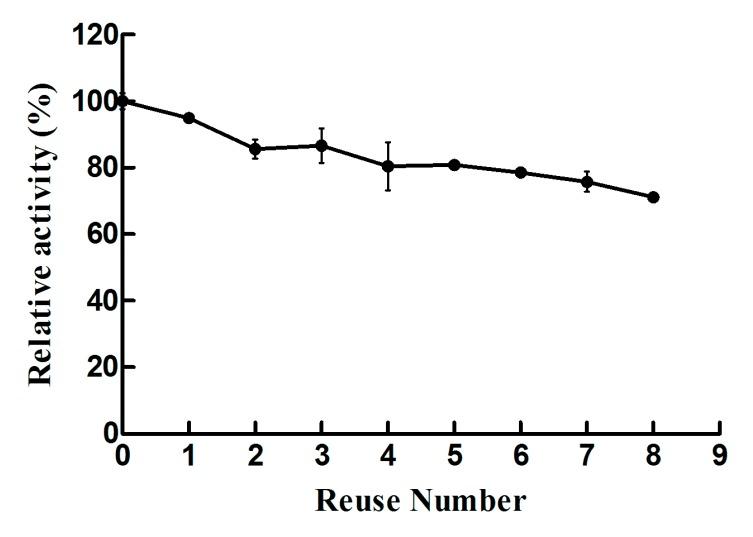 https://cdn.ncbi.nlm.nih.gov/pmc/blobs/0921/7084273/33a54e465614/ijms-21-01635-g004.jpg