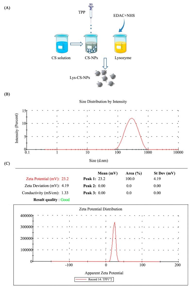 https://cdn.ncbi.nlm.nih.gov/pmc/blobs/0921/7084273/acc2e4cecf7a/ijms-21-01635-g001.jpg