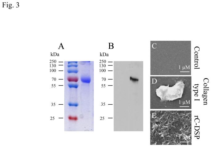 https://cdn.ncbi.nlm.nih.gov/pmc/blobs/0923/3882282/21ae9e1207c8/pone.0081655.g003.jpg