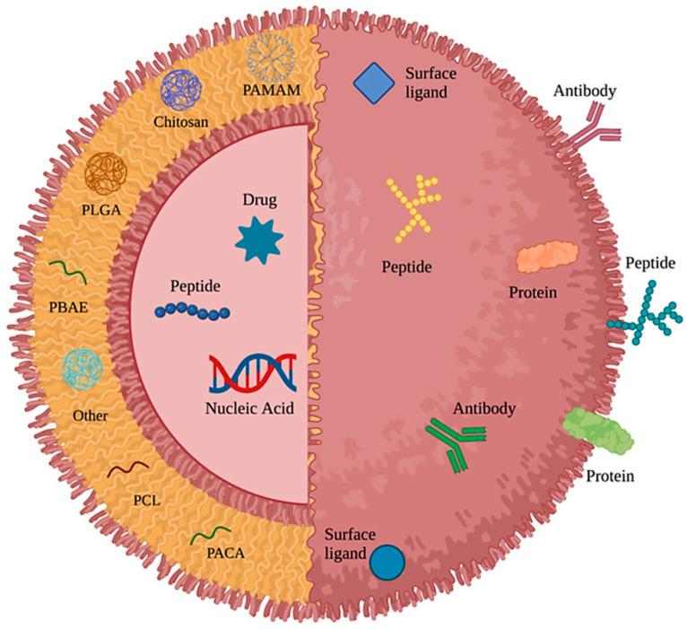 https://cdn.ncbi.nlm.nih.gov/pmc/blobs/0925/12300450/c978e8d6db0a/pharmaceuticals-18-01057-g003.jpg