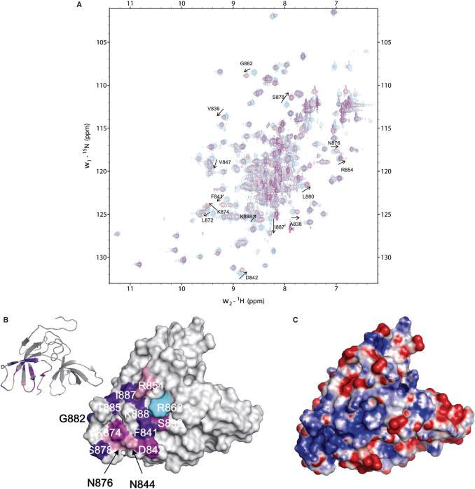 https://cdn.ncbi.nlm.nih.gov/pmc/blobs/0925/2034471/936f5b67ccaa/gkm607f6.jpg