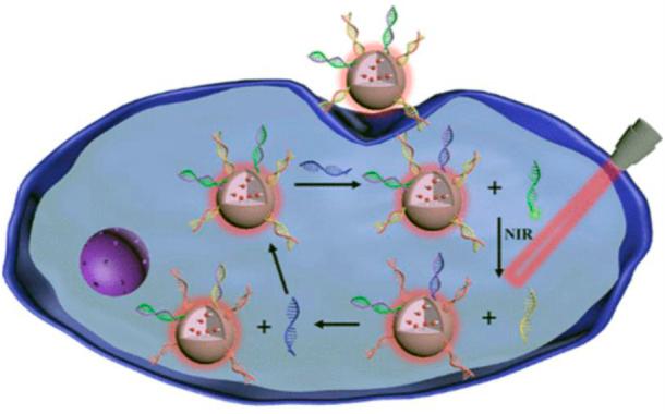 https://cdn.ncbi.nlm.nih.gov/pmc/blobs/0925/9751046/b34f5537f076/fbioe-10-1059845-g008.jpg