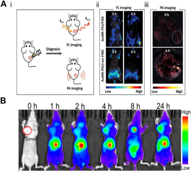 https://cdn.ncbi.nlm.nih.gov/pmc/blobs/0925/9751046/c9f34e2fd348/fbioe-10-1059845-g011.jpg