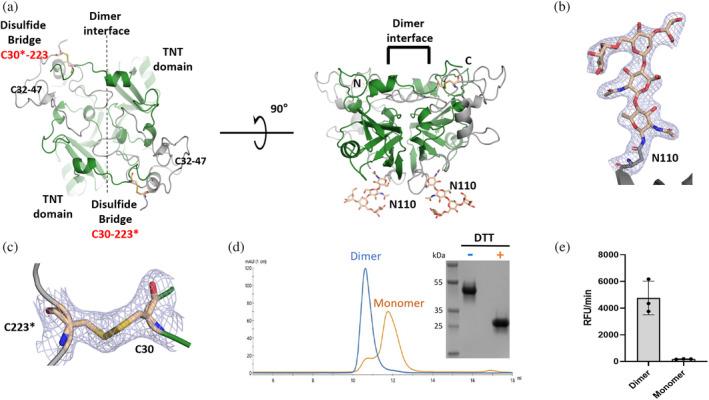 https://cdn.ncbi.nlm.nih.gov/pmc/blobs/0926/11187862/34d99b490f34/PRO-33-e5071-g003.jpg
