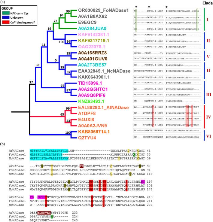 https://cdn.ncbi.nlm.nih.gov/pmc/blobs/0926/11187862/43b63a1984f0/PRO-33-e5071-g006.jpg