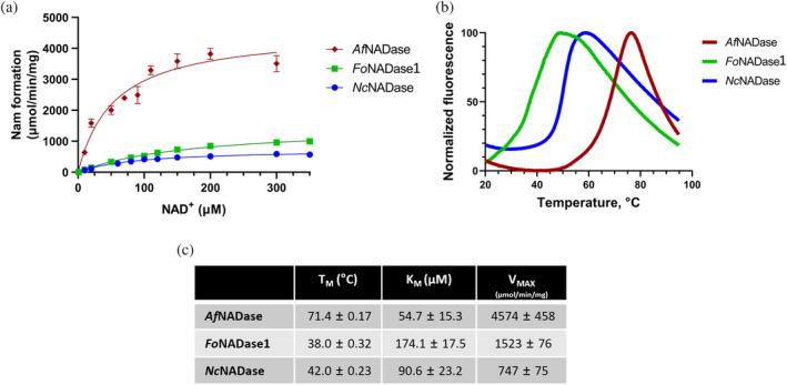 https://cdn.ncbi.nlm.nih.gov/pmc/blobs/0926/11187862/728e78d071bf/PRO-33-e5071-g004.jpg