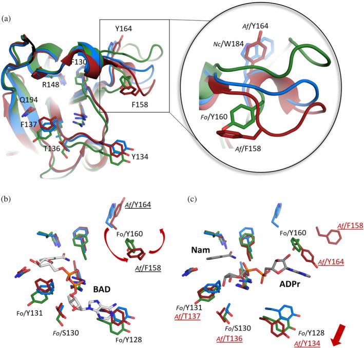 https://cdn.ncbi.nlm.nih.gov/pmc/blobs/0926/11187862/d57aa2b68614/PRO-33-e5071-g005.jpg