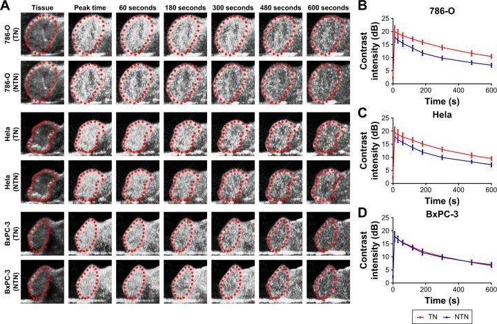 https://cdn.ncbi.nlm.nih.gov/pmc/blobs/0927/6199208/9958491e857a/ijn-13-6481Fig5.jpg