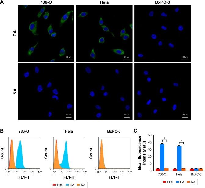 https://cdn.ncbi.nlm.nih.gov/pmc/blobs/0927/6199208/b75fc131155f/ijn-13-6481Fig1.jpg