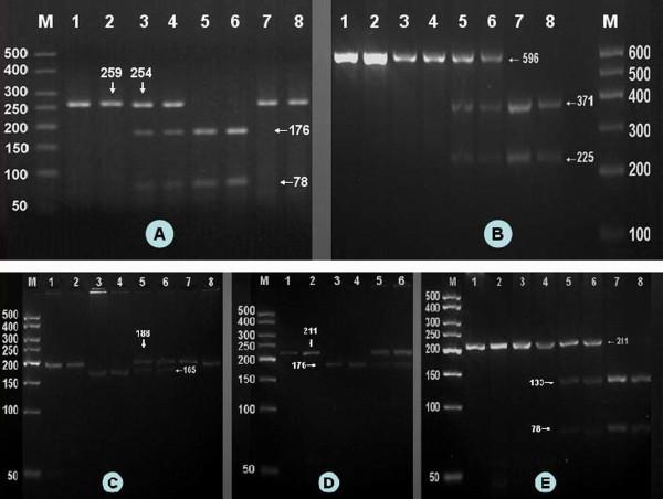 https://cdn.ncbi.nlm.nih.gov/pmc/blobs/0929/3170230/910777666051/1476-511X-10-140-1.jpg