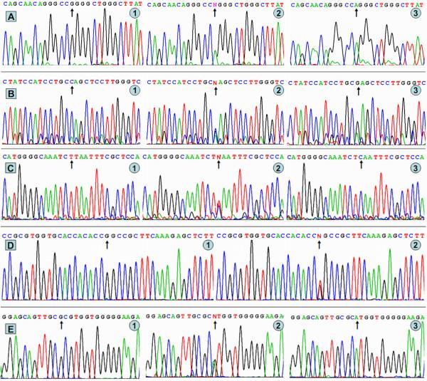 https://cdn.ncbi.nlm.nih.gov/pmc/blobs/0929/3170230/f1a820dd4a6a/1476-511X-10-140-2.jpg