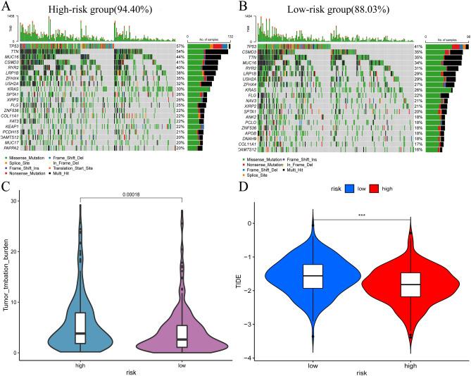 https://cdn.ncbi.nlm.nih.gov/pmc/blobs/092a/10628222/33315dd428d6/41598_2023_46669_Fig8_HTML.jpg