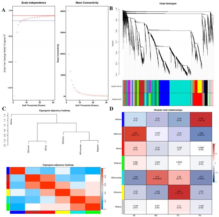 https://cdn.ncbi.nlm.nih.gov/pmc/blobs/092b/11173900/ee9ec1229d41/molecules-29-02591-g008.jpg